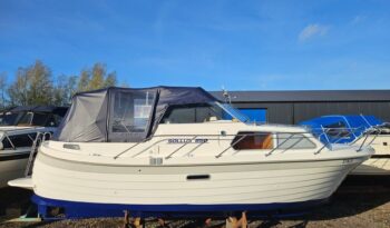 Sollux 850 (Noorse spitsgatter) 0032026