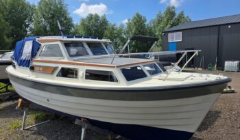 Saga 27 AK (Noorse spitsgatter) 0082026