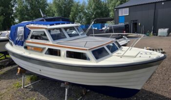 Saga 27 AK (Noorse spitsgatter) 0082026